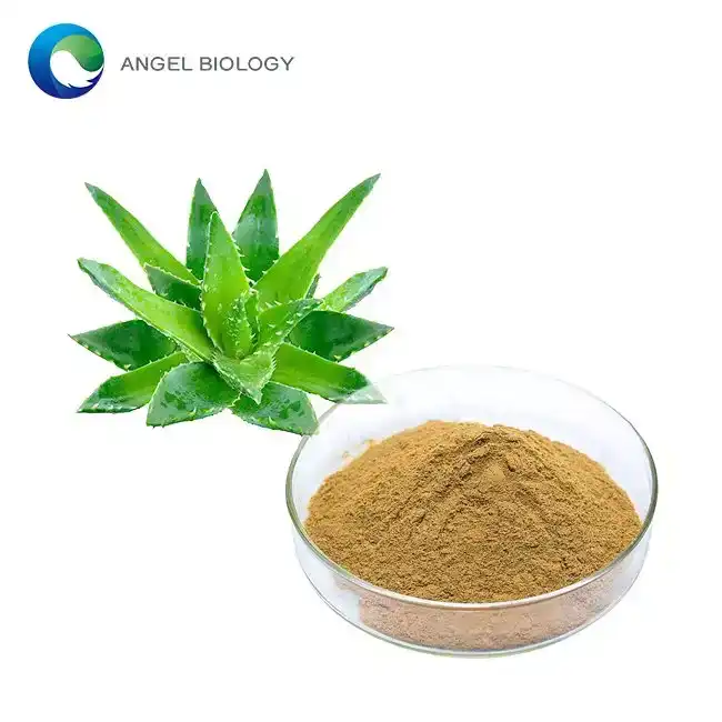 U.S. Supplement Developers Favor High-Purity Aloe Vera Emodin Extract